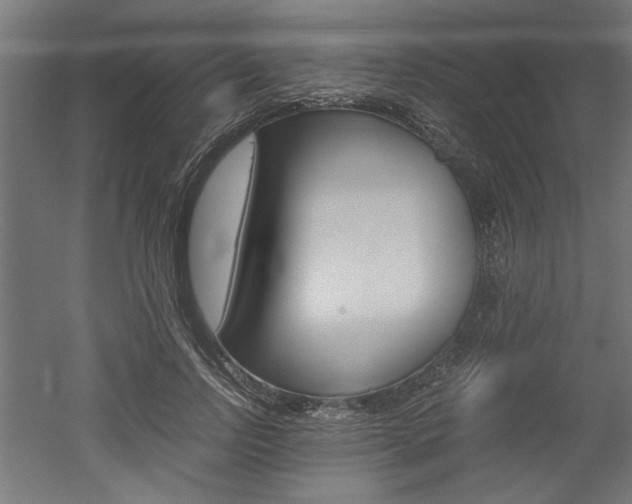 X0000052580742200507010913
