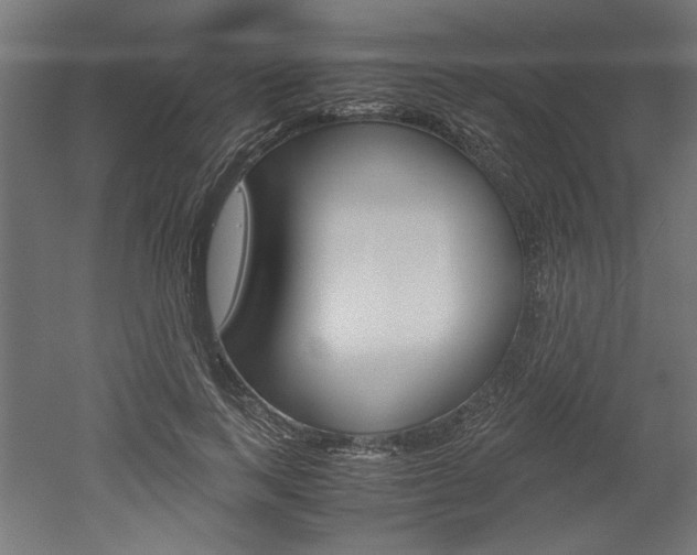 X0000052580743200507010913
