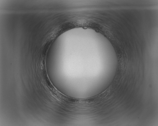 X0000052580746200507010913