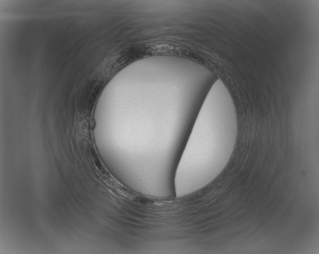 X0000052580753200507010913