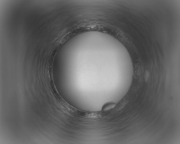 X0000052580754200507010913