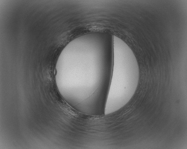 X0000052580755200507010913