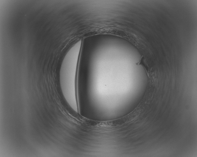 X0000052580756200507010913