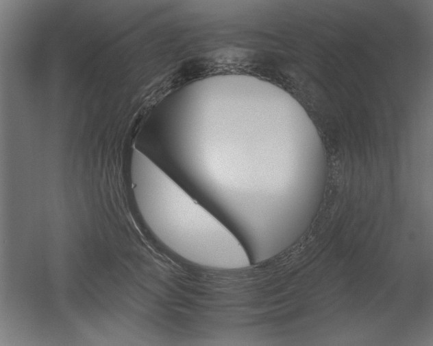 X0000052580757200507010913
