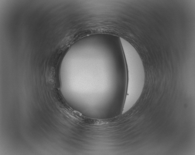 X0000052580760200507010913