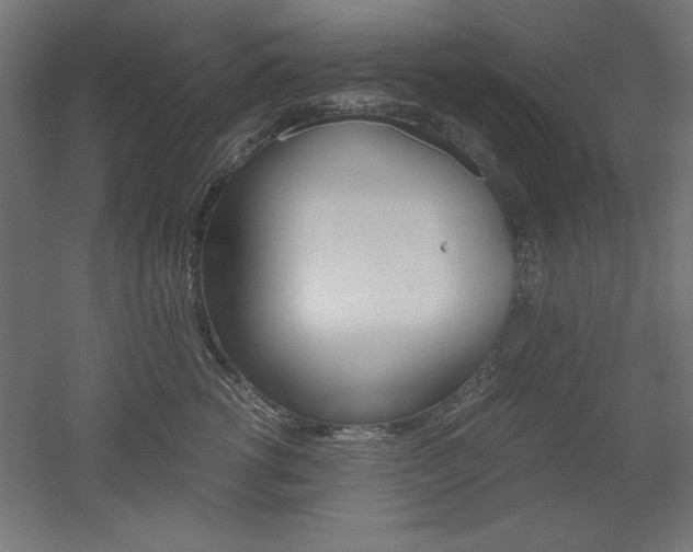 X0000052580762200507010913
