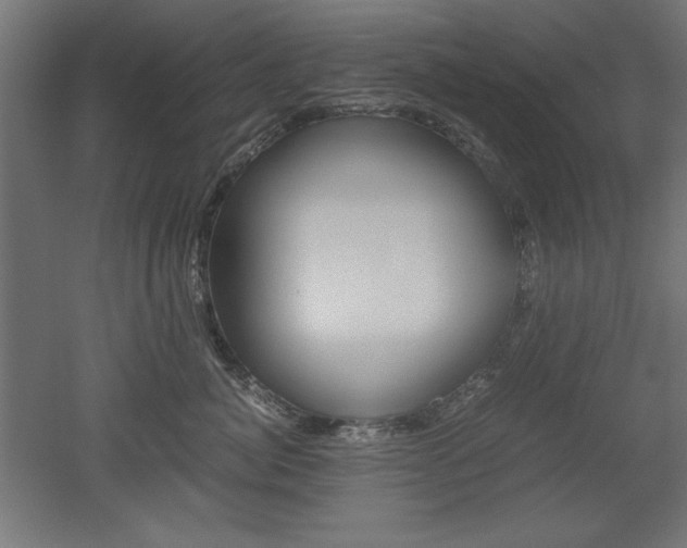 X0000052580764200507010913