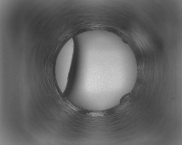 X0000052580765200507010913