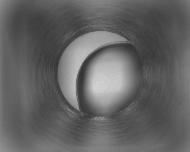 X0000052580766200507010913