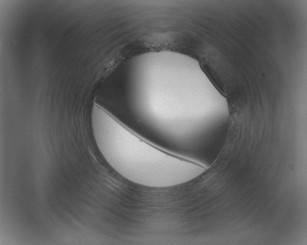 X0000052580767200507010913