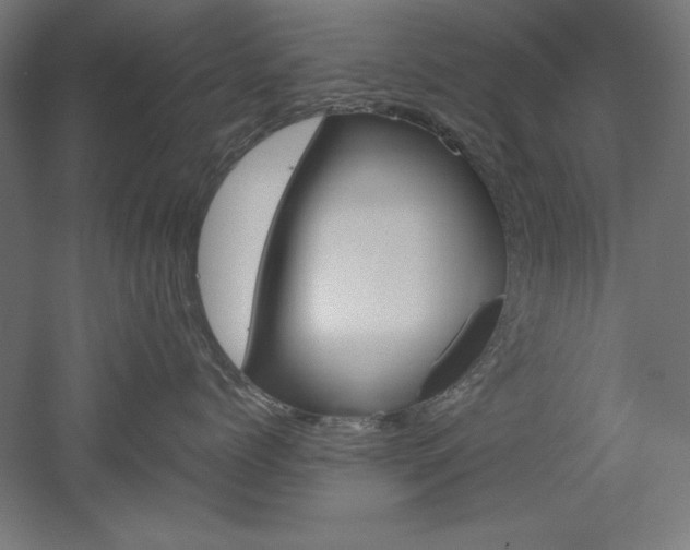 X0000052580768200507010913