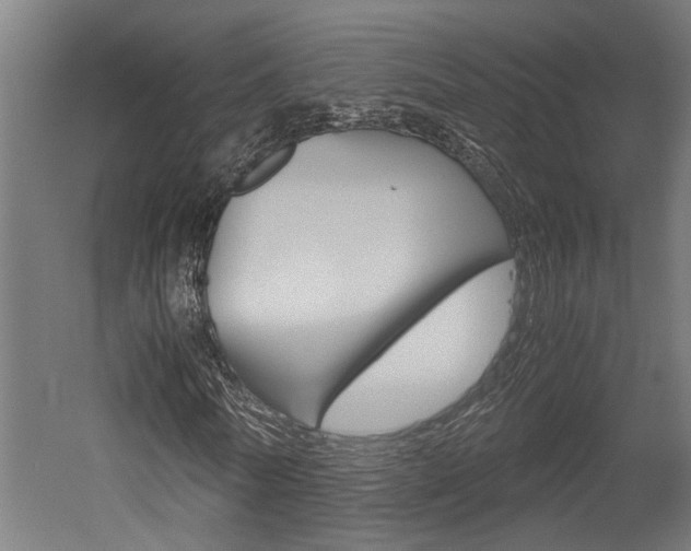 X0000052580770200507010912