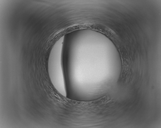 X0000052580773200507010912