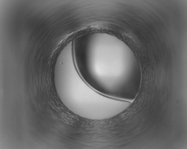 X0000052580776200507010912