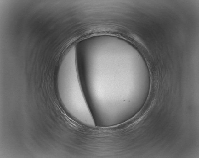 X0000052580777200507010912