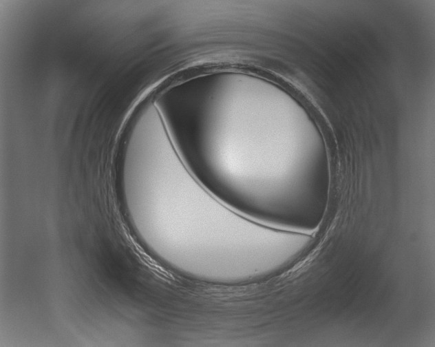 X0000052580783200507010912
