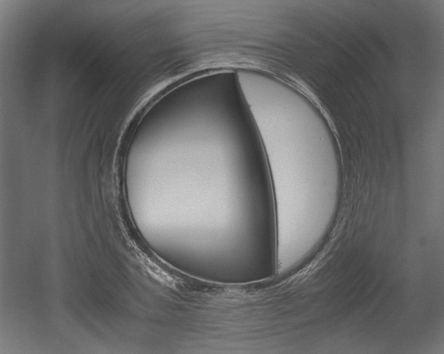 X0000052580787200507010912