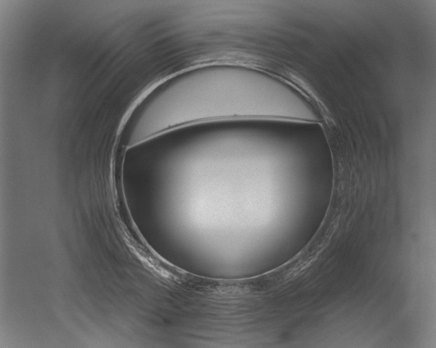 X0000052580788200507010912