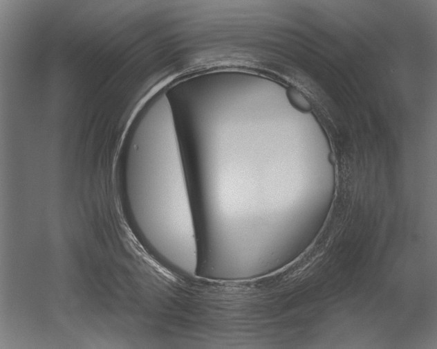 X0000052580790200507010912