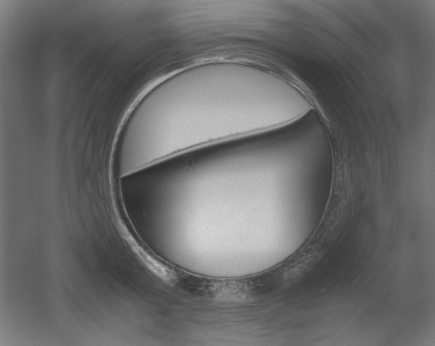 X0000052580803200507010912