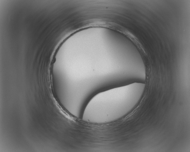 X0000052580808200507010912