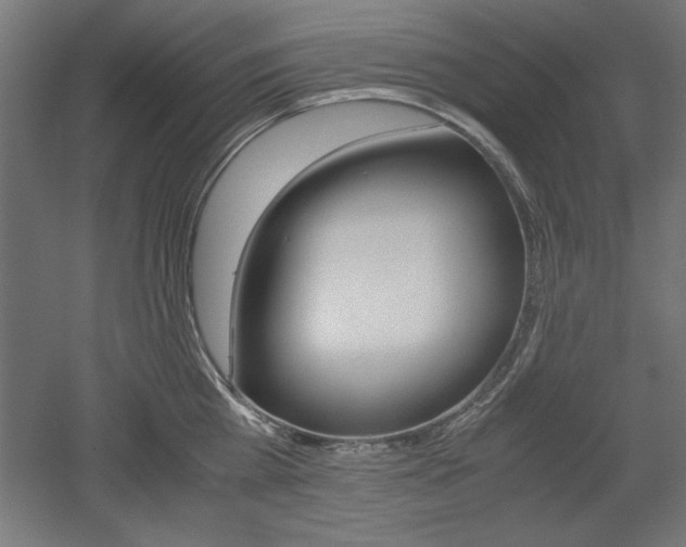 X0000052580809200507010912