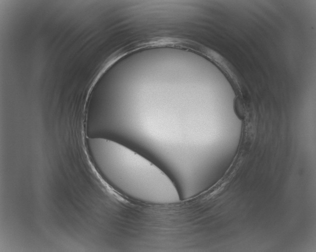 X0000052580810200507010912
