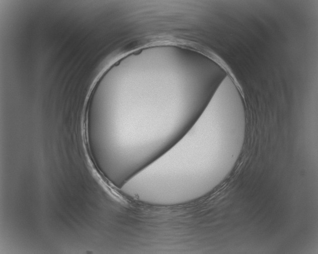 X0000052580811200507010912