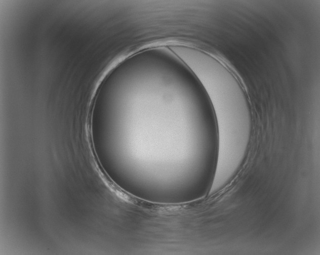 X0000052580813200507010912