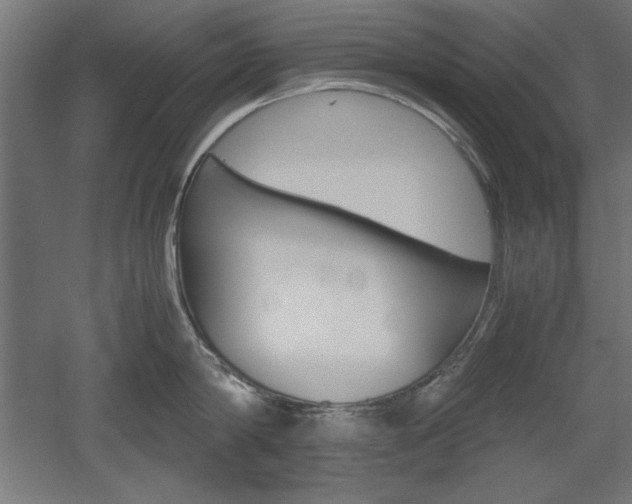 X0000052580814200507010912