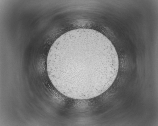 X0000052580820200507010911