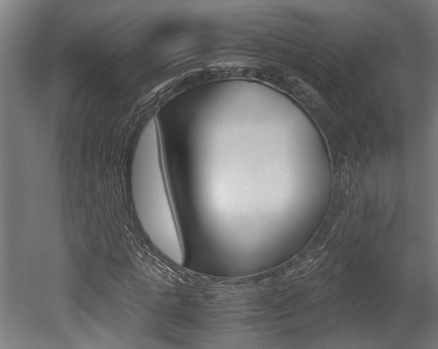 X0000052580821200507010911