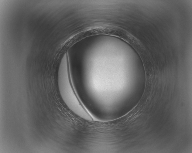 X0000052580822200507010911