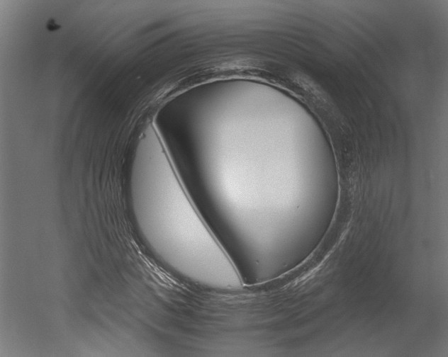 X0000052580825200507010911