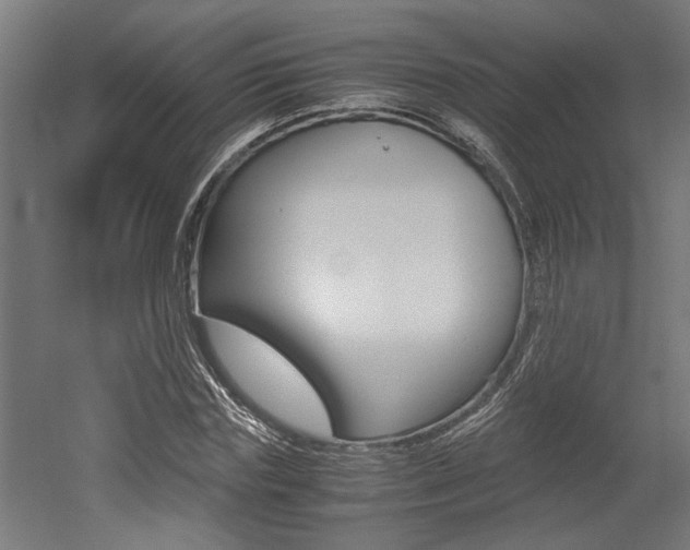 X0000052580827200507010911