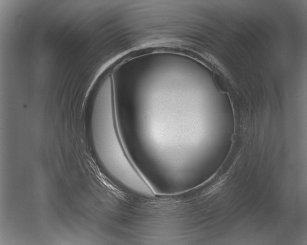 X0000052580830200507010911