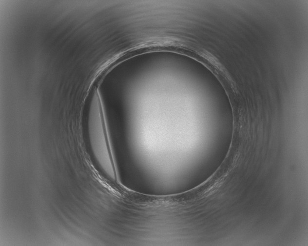 X0000052580834200507010911