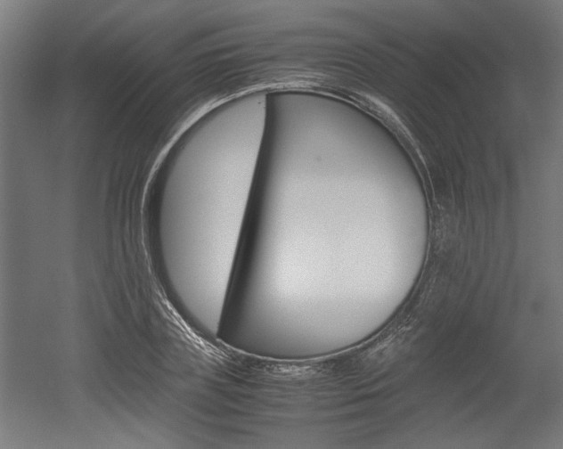X0000052580835200507010911