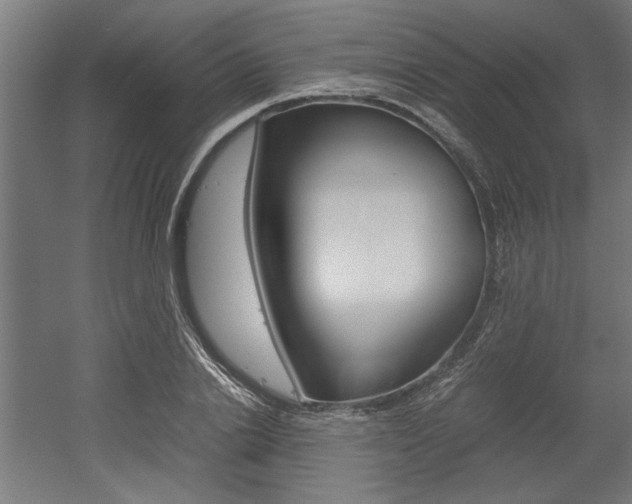 X0000052580838200507010911