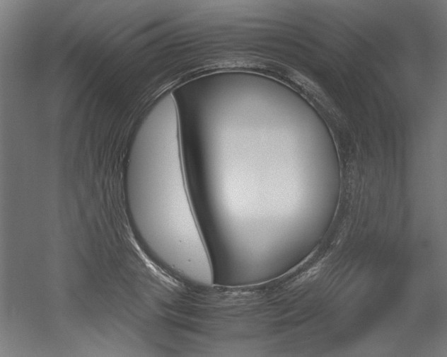 X0000052580841200507010911