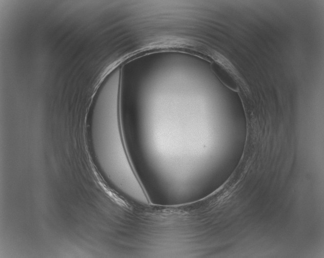 X0000052580842200507010911