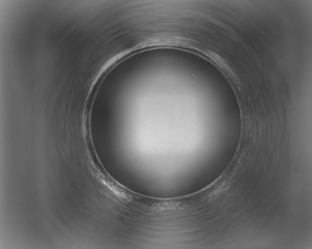 X0000052580846200507010911
