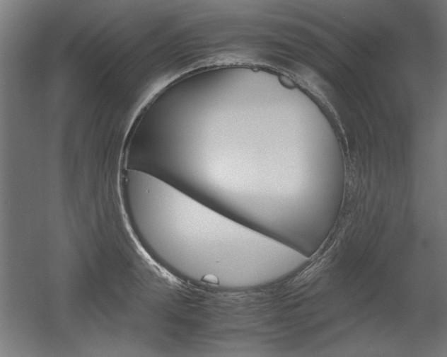 X0000052580847200507010911