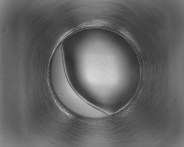 X0000052580850200507010911