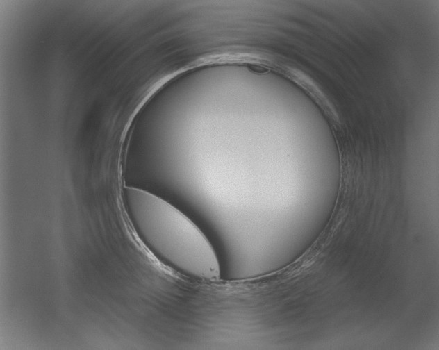 X0000052580852200507010911