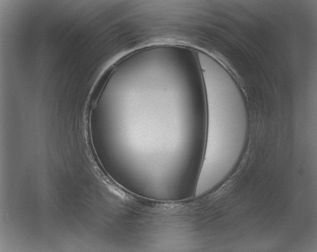X0000052580854200507010911
