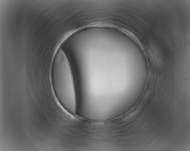 X0000052580855200507010911