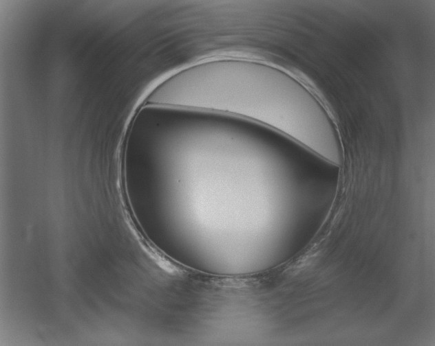 X0000052580862200507010912