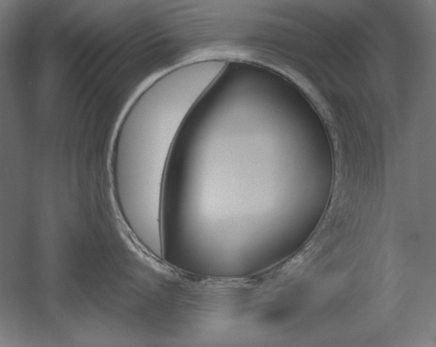X0000052580864200507010912