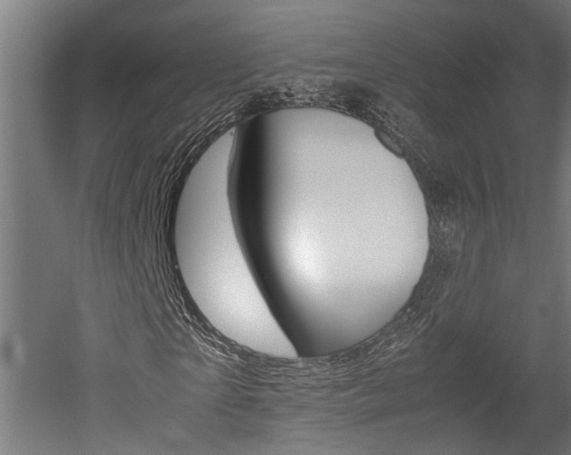 X0000052580865200507010911